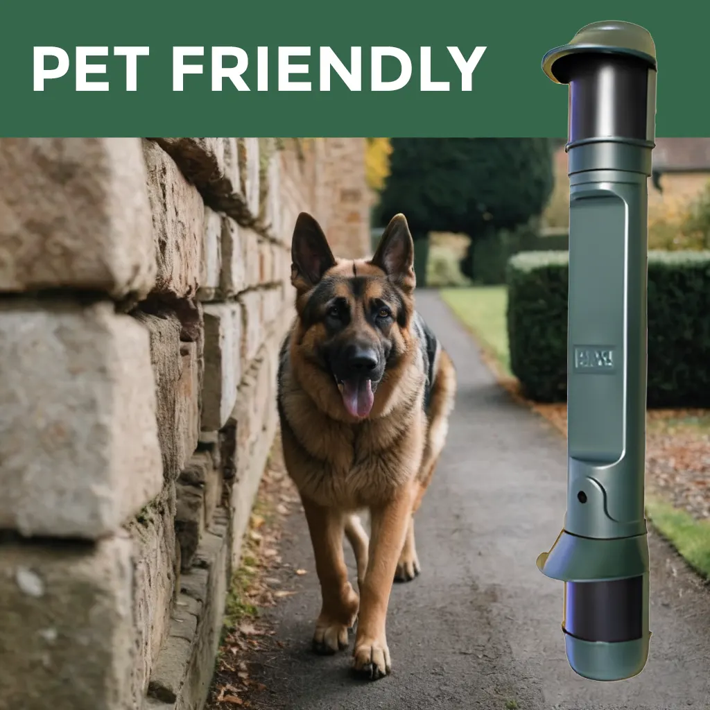 Pet Friendly